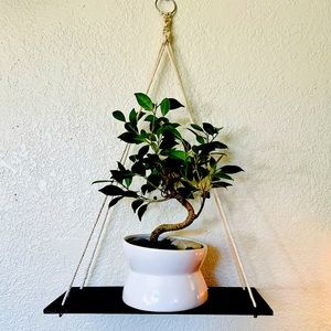 Beautiful Brand New Black Shelf